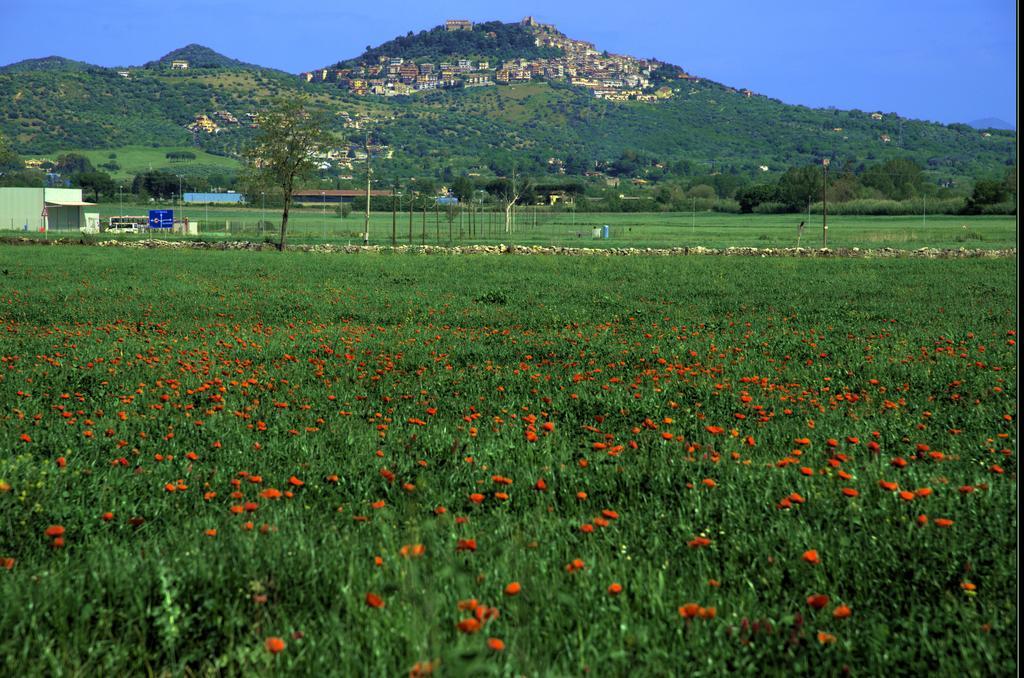 Agri Domus Apartment Guidonia Montecelio Luaran gambar